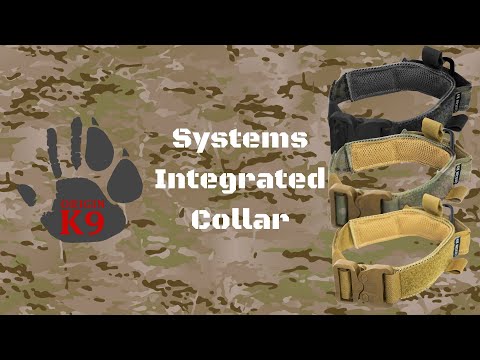 Systems Integrated Collar